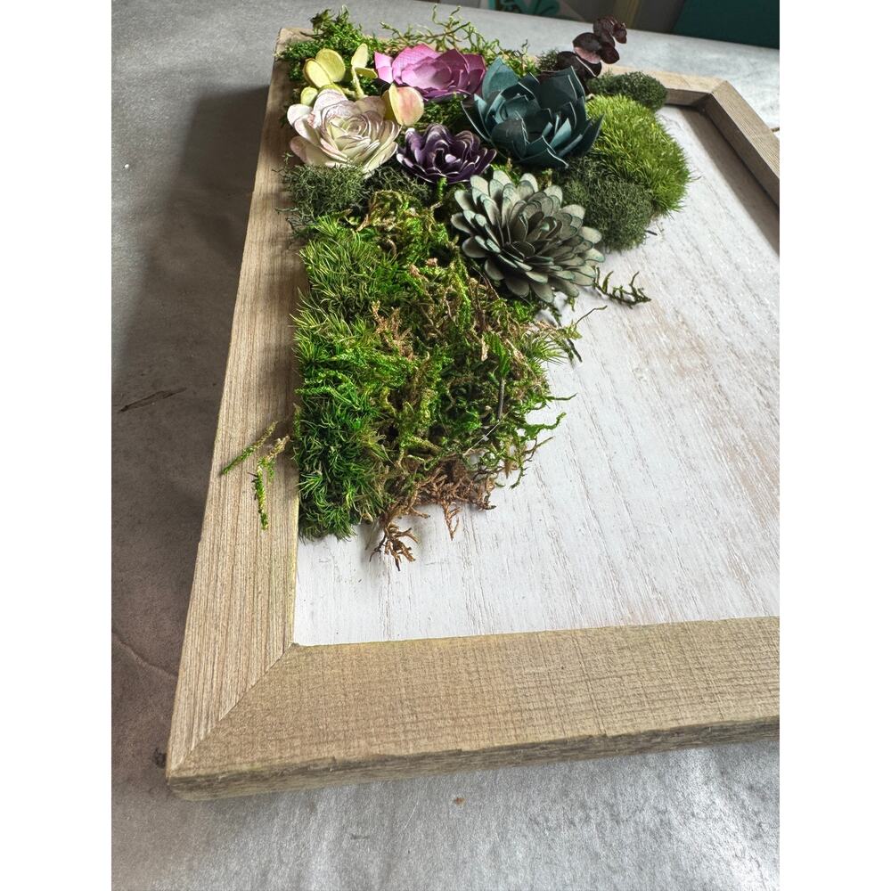 Handmade 8x10 Preserved Moss Wall Art w/ Paper Succulents Rustic Botanical Decor - Picture 8 of 12